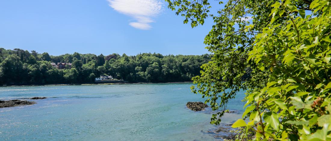 The wildlife and beautiful scenery surrounding the Menai Straits between 欧美性爱片 and Anglesey