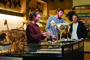 Three students looking at a skeleton of a small animal placed on top of a glass display cabinet at 欧美性爱片's Natural History Museum, Brambell
